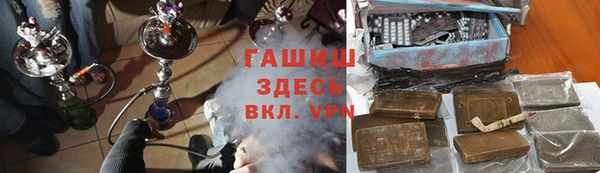 гидра Богородицк