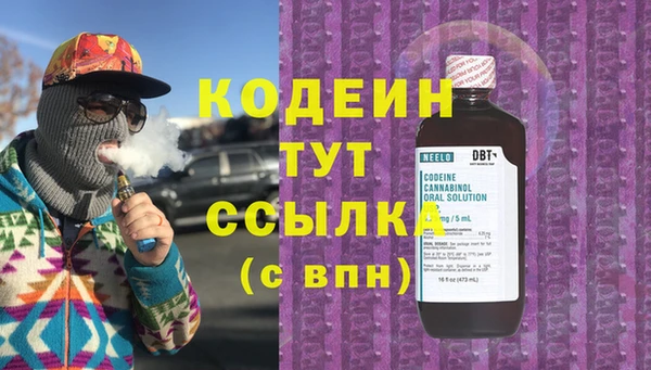 гидра Богородицк