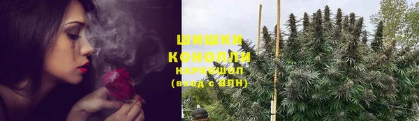 гидра Богородицк