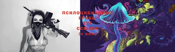 прущие крисы Богданович