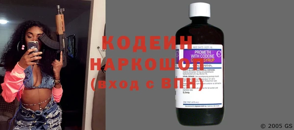 гидра Богородицк
