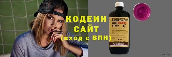 гидра Богородицк