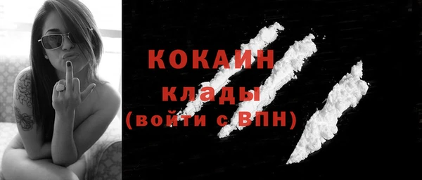 гидра Богородицк