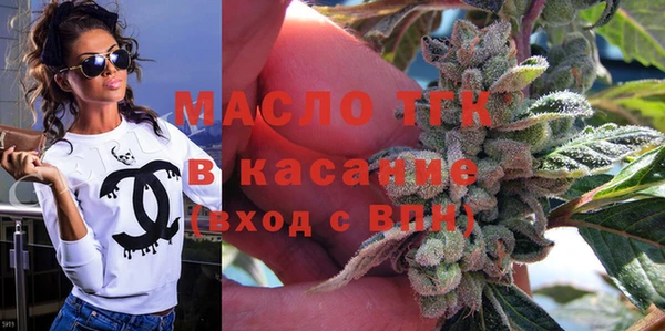 гидра Богородицк
