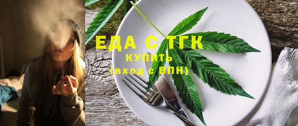 гидра Богородицк
