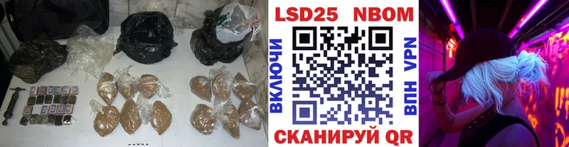 Лсд 25 экстази кислота  ОМГ ОМГ ТОР  Светлогорск  цены наркотик 